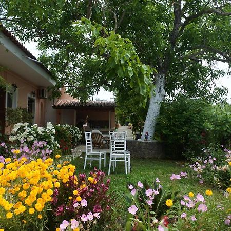 Mina'S Serene Garden House คอนโตกาลิ ภายนอก รูปภาพ